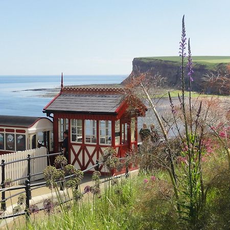 Saltburn Holidays Jasmine Cottage Saltburn מראה חיצוני תמונה